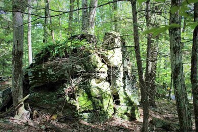 TBD Bone Hollow Rd, Accord, NY 12404 - photo 4