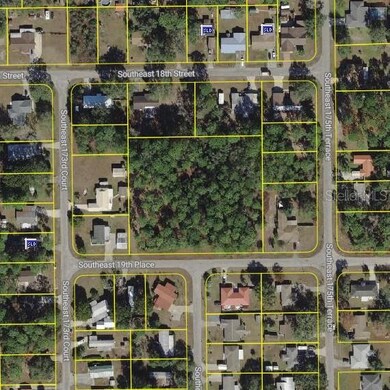 unlisted-address, Silver Springs, FL 34488 - photo 4