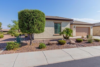 FRONT LANDSCAPING
