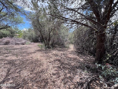 20779 E Larry Ln unit 2509, Cordes Lakes, AZ 86333 - photo 4