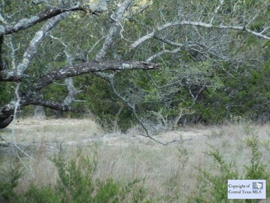 Oak and Cedar Trees: Through-out the property