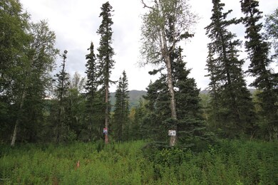 Lot 9