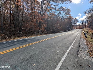 443 Lake Desolation Rd, Middle Grove, NY 12850 - photo 3