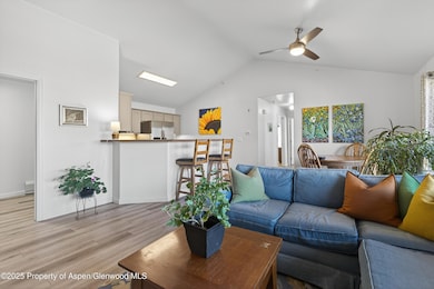 433 River View Dr unit 1605, New Castle, CO 81647 - photo 4