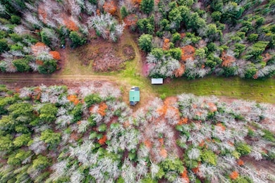 240 ACRES Long Lake Rd, Mathias Township, MI 49895 - photo 3