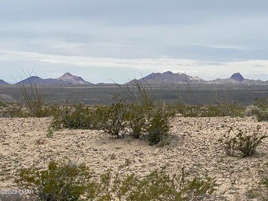 3079 S Golden Spike Rd, Yucca, AZ 86438 - photo 5