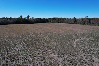 819 Quail Rd, Hemingway, SC 29554 - photo 7