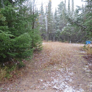 cleared area