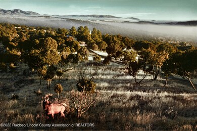 Frontyard elk