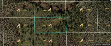 0 Dill Rd unit MFRO6271702, Orlando, FL 32820 - photo 2