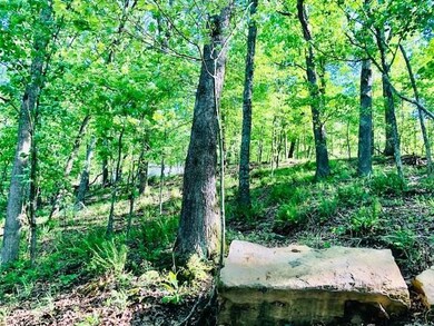 17818 Arkady Way, Winslow, AR 72959 - photo 7