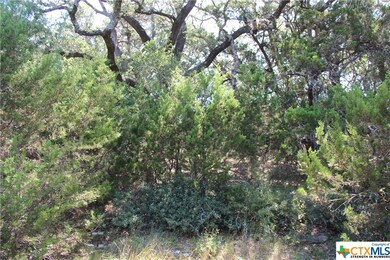 3 large oaks on the east side of the lot