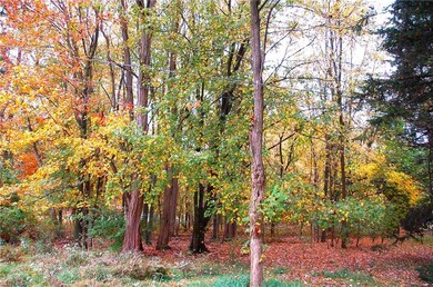 Front of Lot