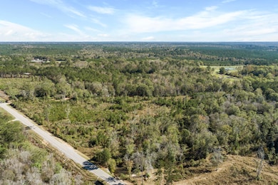 111 Ms-44, Sumrall, MS 39482 - photo 3