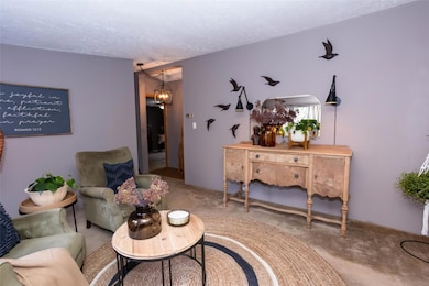 105 Mountain View Dr, Candler, NC 28715 - photo 4