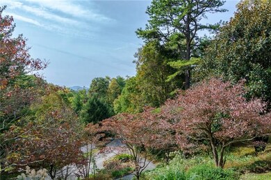 Dogwoods, Magnolias and Rhododendrons throughout t