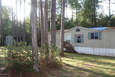 3977 Michaelwood Rd, Middleburg, FL 32068 - photo 5
