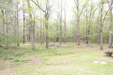 240 Buffalo Hill Rd, Ellisville, MS 39437 - photo 4