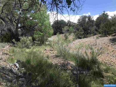 xx Oakhurst & Nizhoni, Silver City, NM 88061 - photo 6