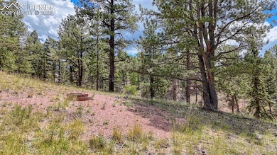 18 Falcon Cir, Florissant, CO 80816 - photo 7