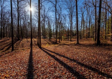 18200 W County Line Rd, Midlothian, VA 23112 - photo 4