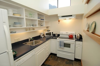 311 S Aspen St unit 6, Aspen, CO 81611 - photo 7