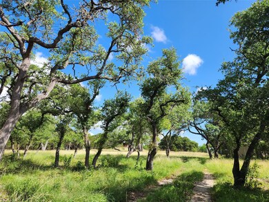 View of local wilderness