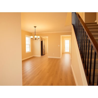 21831 W Judith Ct, Plainfield, IL 60544 - photo 3