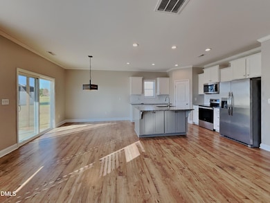 64 Fish Whistle Ct, Benson, NC 27504 - photo 3