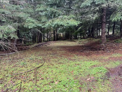 82964 Hungry Hill Rd, Creswell, OR 97426 - photo 5