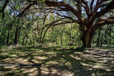 5005 SW 63rd Blvd, Gainesville, FL 32608 - photo 5