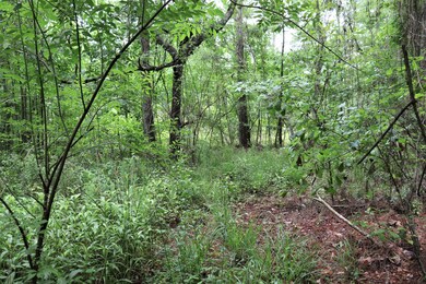 4130 Becky St, Middleburg, FL 32068 - photo 7