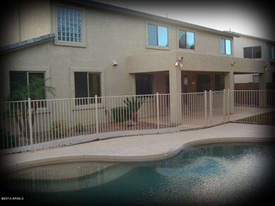 Back Yard View