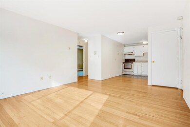 290 Corey Rd unit 21, Brighton, MA 02135 - photo 6