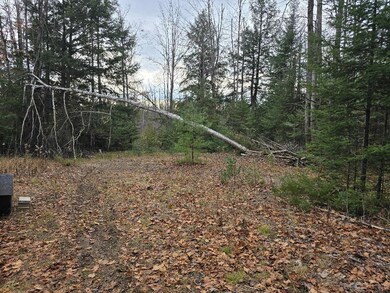 V/L 10ac Kelley Dr, Case Township, MI 49759 - photo 4