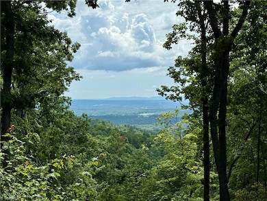 TBD Widow Mountain Dr, McGrady, NC 28635 - photo 2