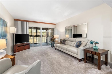 875 S Village Dr N unit 204, Saint Petersburg, FL 33716 - photo 5