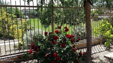 5223 W El Cortez Trail, Phoenix, AZ 85083 - photo 5