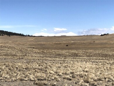 121 Commanche Trail, Hartsel, CO 80449 - photo 6