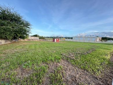 lote 3 Calle La Comarca, Hatillo, PR 00659 - photo 4