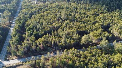 Lot 3 Tequila Way, Athol, ID 83801 - photo 4