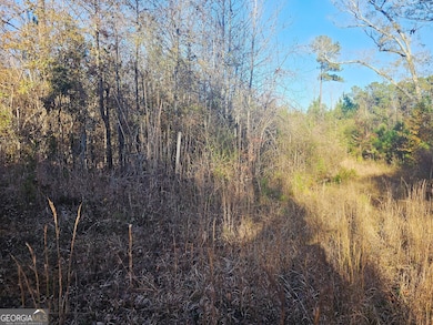 2199 Rehoboth Rd, Griffin, GA 30224 - photo 7