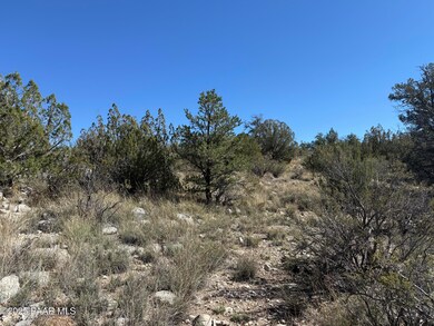 33367 Hora Ln, Seligman, AZ 86337 - photo 7