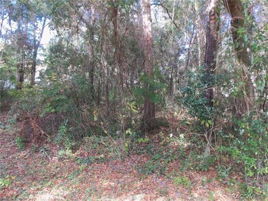 12013 SW 98th Loop, Dunnellon, FL 34432 - photo 2