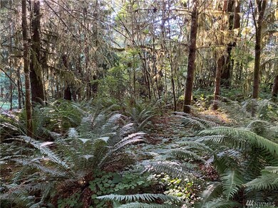 0 Germany Creek Rd unit 1635470, Longview, WA 98632 - photo 7