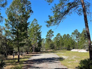 2298 Eldorado Ct, Saint Cloud, FL 34771 - photo 5