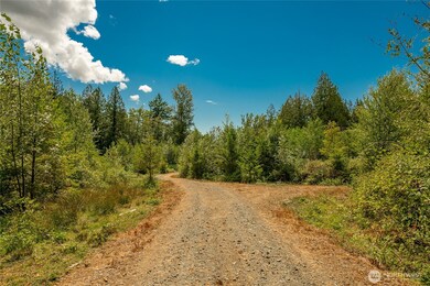 0 Sunrise Rd unit NWM2435037, Custer, WA 98240 - photo 3