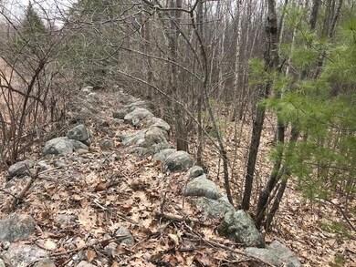 0 New Settlement Rd, Hiram, ME 04041 - photo 4