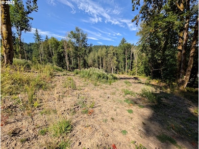 0 NW Cornelius Pass Rd unit 472730222, Portland, OR 97231 - photo 2