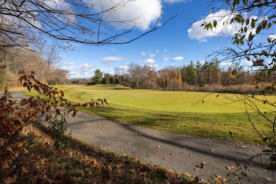 6054 Dublin Dr, Canadian Lakes, MI 49346 - photo 2